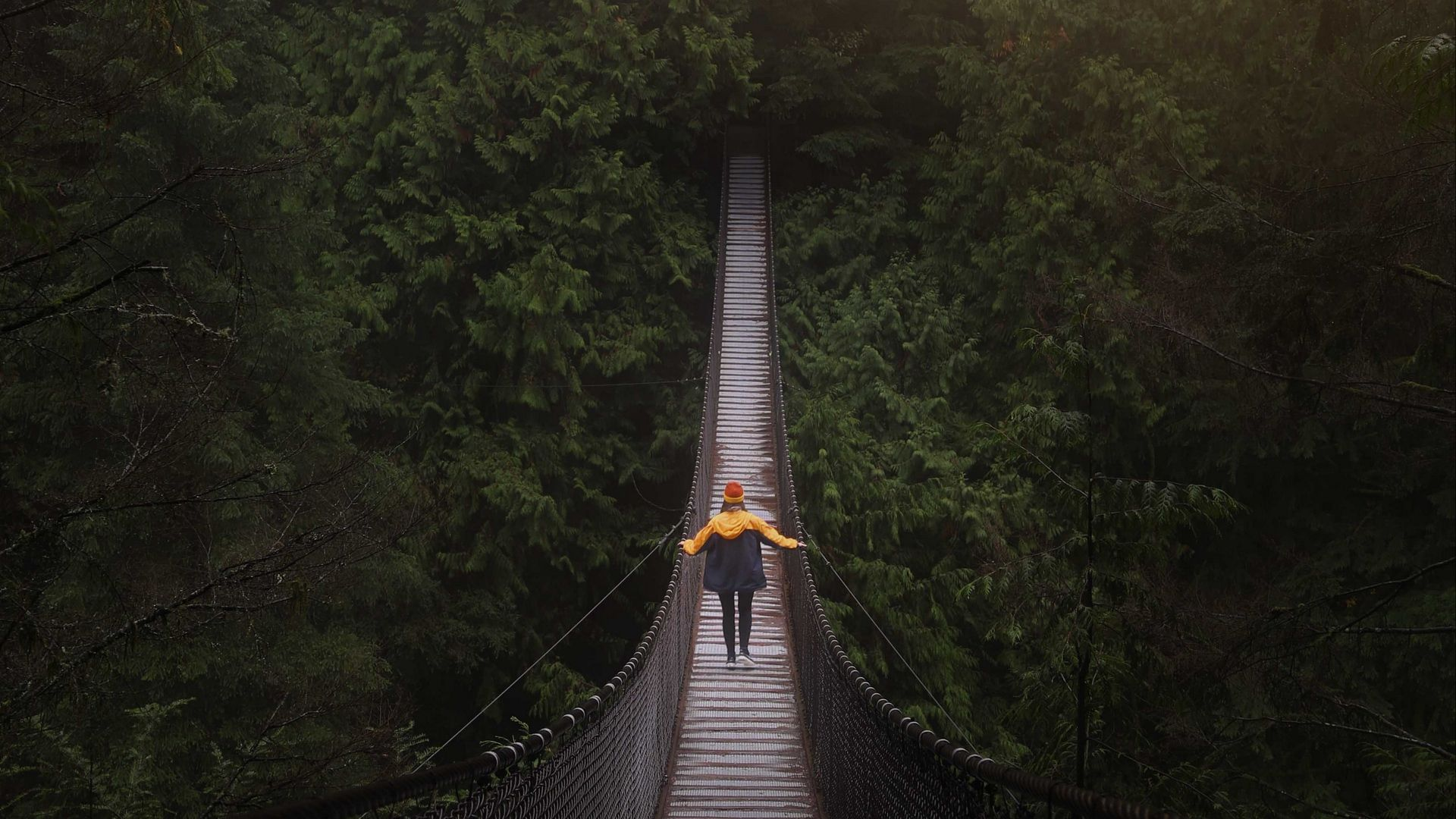 Bridge through a lush forest path, symbolizing a journey toward healing and hope